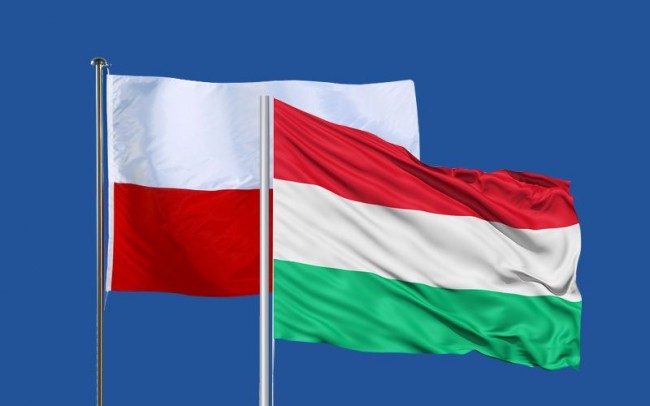La CE demanda a Hungría y Polonia por `discriminación LGBT´