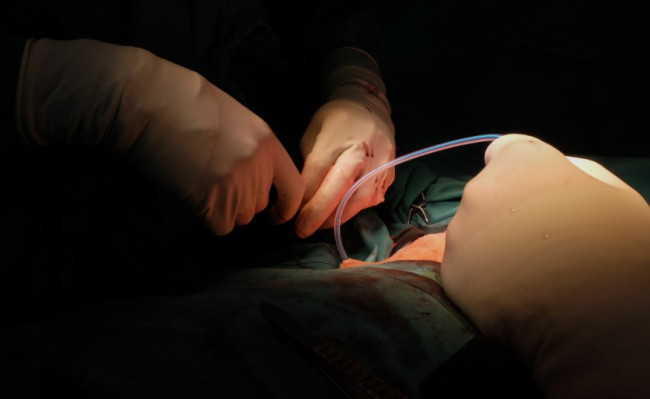 Veredicto histórico: `detrans´ gana demanda contra médicos y plantea un cambio legal sobre tratamientos de género en EEUU