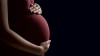 Los estadounidenses tienen menos hijos